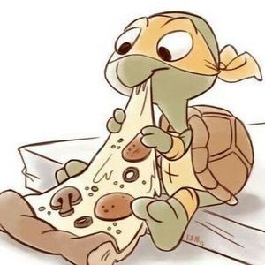 Meet your Posher, Paul